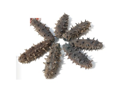 嘉岛珍参 醇品 淡干海参500g 大连辽参淡干刺参海参批发顺丰图4