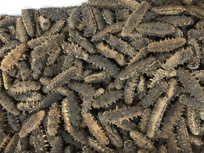 嘉岛珍参 醇品 淡干海参500g 大连辽参淡干刺参海参批发顺丰图5
