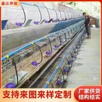 免清粪阶梯兔笼济南厂家 三层九窝种兔免清粪阶梯笼 镀锌阶梯兔笼