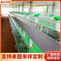 供应销售欧式兔笼 养兔设备10只欧式兔笼 阶梯式自动清粪欧式兔笼