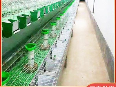供应销售欧式兔笼 养兔设备10只欧式兔笼 阶梯式自动清粪欧式兔笼图2