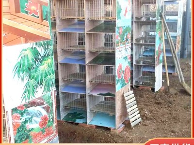 厂家批发子母兔笼 易清理瓷砖子母兔笼 养殖场用瓷砖兔笼子母笼图3