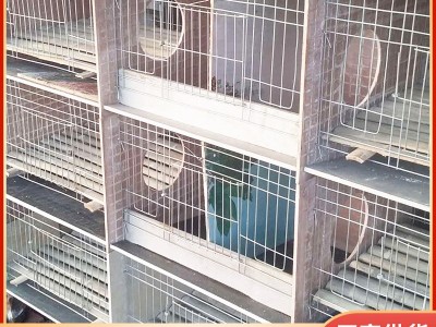 厂家批发子母兔笼 易清理瓷砖子母兔笼 养殖场用瓷砖兔笼子母笼图2