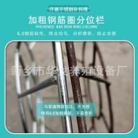 厂家供应仔猪不锈钢补料槽小猪仔猪食槽补料盆养殖仔猪补料槽