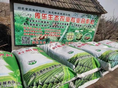腐殖酸型粉末状有机肥料 生态有机肥、有机认证产品图5