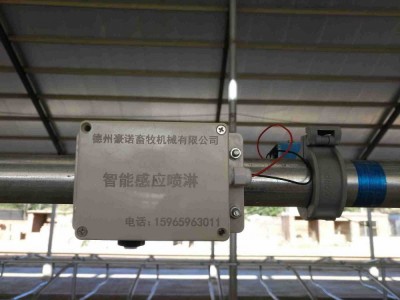 牧场智能省水感应器 喷淋降温奶牛场 智能喷淋降图4