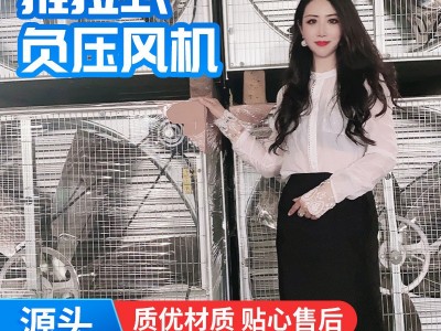 老板娘亲推1380型推拉式负压风机 夏季鸡舍大棚车间排气降温设备图2