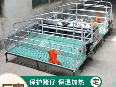 源头厂家保育两用分娩床育肥母猪产床双体床热镀锌全复合产床图3