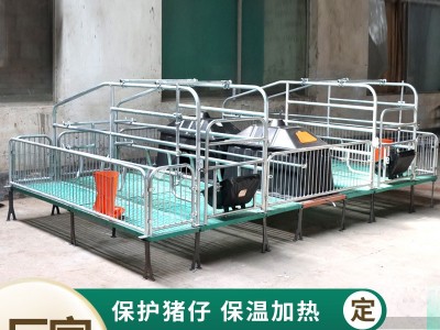 源头厂家保育两用分娩床育肥母猪产床双体床热镀锌全复合产床图5