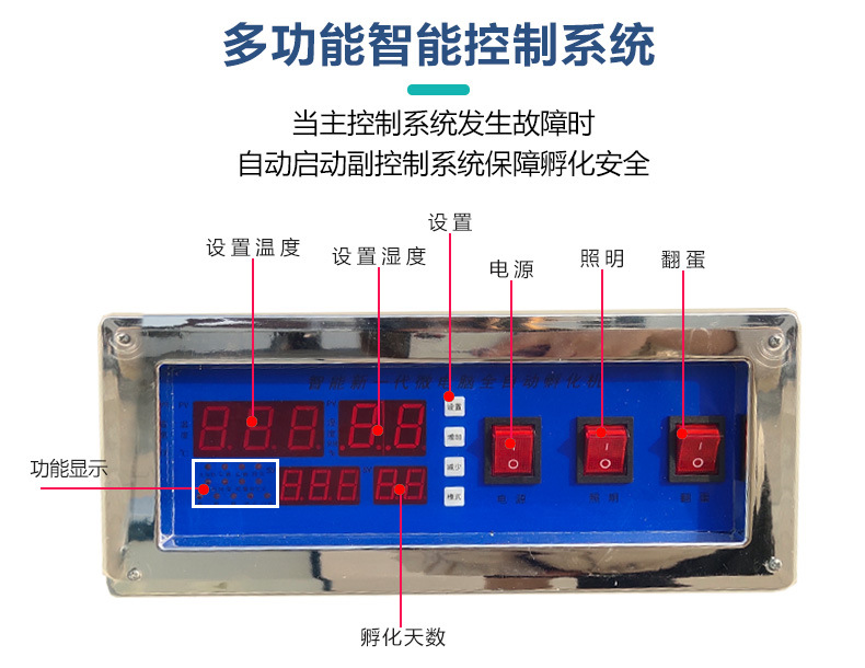 孵化-1_04.jpg