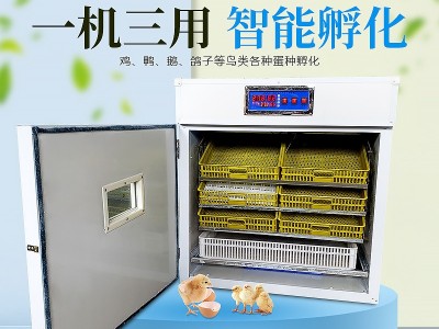 孵蛋箱孵蛋器火鸡孵化器蛋类孵化机智能全自动孵化出雏一体孵化机图2