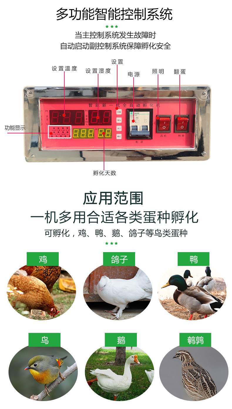 孵化-2_03.jpg