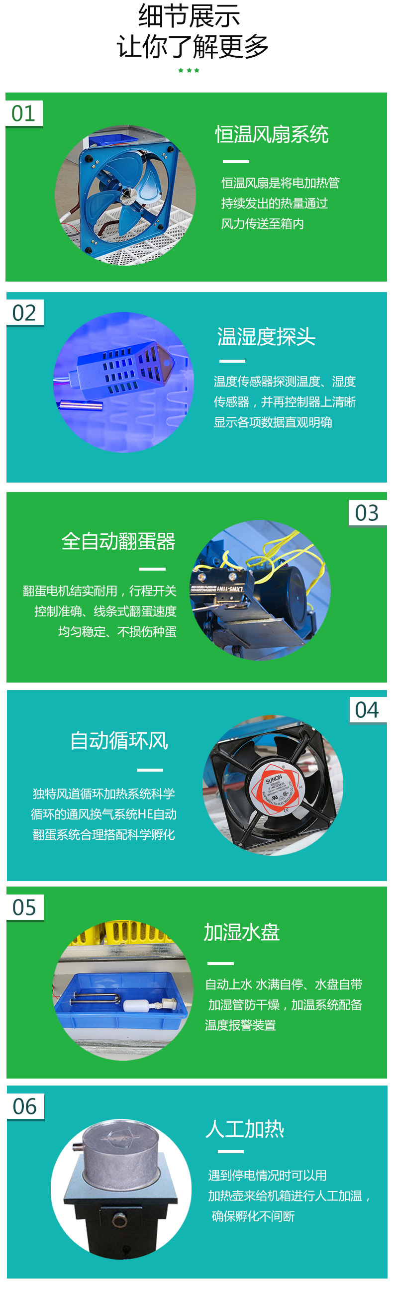 孵化-2_04.jpg