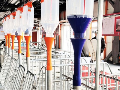 饲料定量桶 仔猪补料槽养殖设备 母猪定量杯喂猪自动下料器批发图5