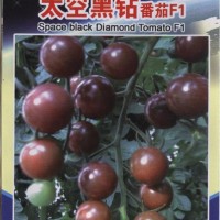厂家批发太空樱桃番茄种子 水果型小番茄蔬菜种子（黑钻石）