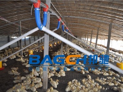 供应 种鸭、肉鸭、鹅用可拆卸料盘 自动喂料系统 邦驰机械图3