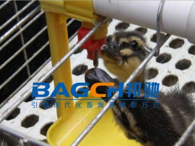 供应 种鸭、肉鸭、鹅用可拆卸料盘 自动喂料系统 邦驰机械图5
