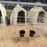 牛用 犊牛岛 犊牛棚 带两喂料桶围栏 聚乙烯材质