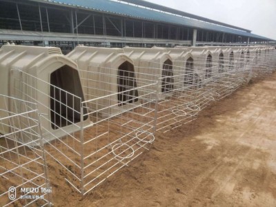 牛用 犊牛岛 犊牛棚 带两喂料桶围栏 聚乙烯材质图2