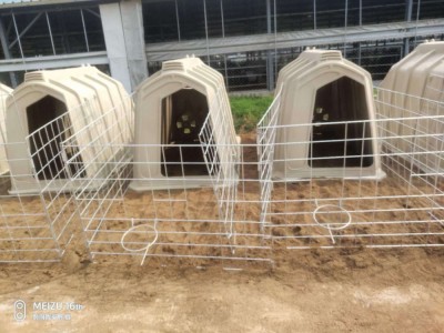 牛用 犊牛岛 犊牛棚 带两喂料桶围栏 聚乙烯材质图3
