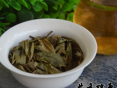 2022年头采春茶白牡丹散装福建福鼎白茶散茶茶叶图3