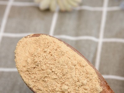 厂家批发 脱水洋葱 洋葱粉 烧烤风味 腌制料 调味料 烘焙外撒图5