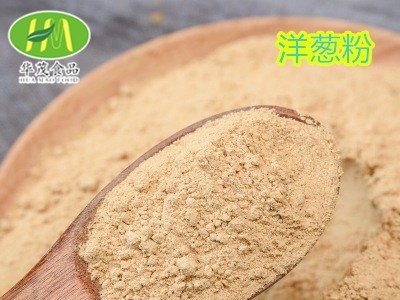 厂家批发 脱水洋葱 洋葱粉 烧烤风味 腌制料 调味料 烘焙外撒图3