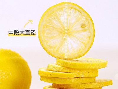 九菊堂蜂蜜冻干柠檬片茶独立包装水果茶泡水柠檬片花果茶直播代发图3