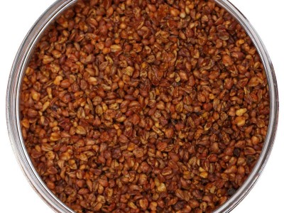 四川大凉山全胚芽苦荞茶500g*1袋 袋装黑苦芥茶荞麦茶厂家批发图4