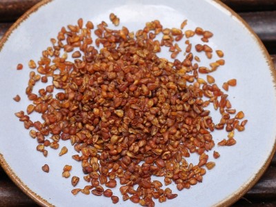 四川大凉山全胚芽苦荞茶500g*1袋 袋装黑苦芥茶荞麦茶厂家批发图2