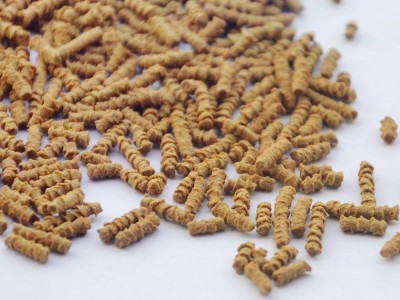 四川大凉山黑苦荞茶400g 全株香茶罐装苦芥茶荞麦茶批发一件代发图4