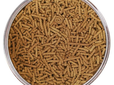 四川大凉山黑苦荞茶400g 全株香茶罐装苦芥茶荞麦茶批发一件代发图5