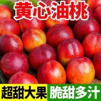 黄心油桃现摘新鲜桃子当即孕妇水果非水蜜桃食用农产品一件代发