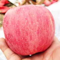 陕西红富士 新鲜苹果 整箱水果产地直发