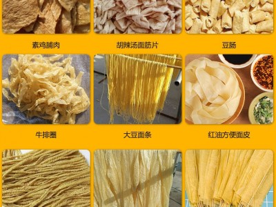 河南素牛排机豆皮机吸汁面藕机人造肉机器蛋白肉机豆制品加工设备图4