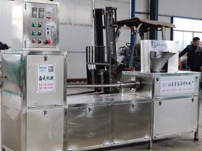 全自动豆腐卷一次性成型设备 休闲豆干制品机器 不锈钢素鸡机图3
