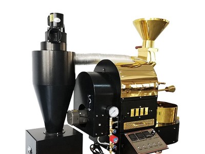 DYS-1kg家用小型智能咖啡豆烘焙机 商用炒豆机咖啡烘豆机批发图4
