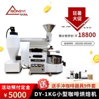 DYS-1kg家用小型智能咖啡豆烘焙机 商用炒豆机咖啡烘豆机批发