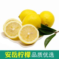 黄柠檬 Vc酸爽多汁 常年供应代发