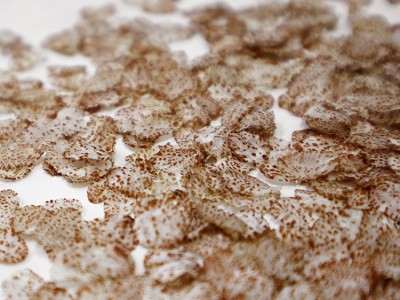 扁粮牌红米薄片粗粮压片粥料红米片五谷杂粮新粮易熟厂家供应500g图3