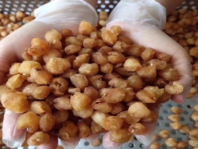 新货桂圆肉即食博白龙眼肉无壳无核桂圆肉干散装批发桂圆肉图4