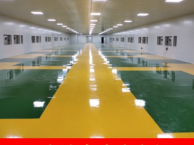 永福罗汉果广西桂林特产中药材原产地直发正品罗汉果大量批发整箱图2