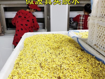 广西特产批发桂花茶优质散装桂花干桂花金桂花食用桂花源头厂家图5