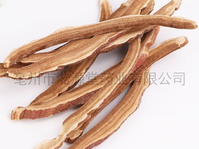 灵芝片 赤灵芝切片 灵芝茶 灵芝 灵芝片批发 承接 药房 医院订单图4