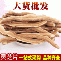 灵芝片 赤灵芝切片 灵芝茶 灵芝 灵芝片批发 承接 药房 医院订单