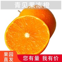 四川青见果冻橙新鲜青见柑橘5斤9斤当季水果青见橙产地一件代发