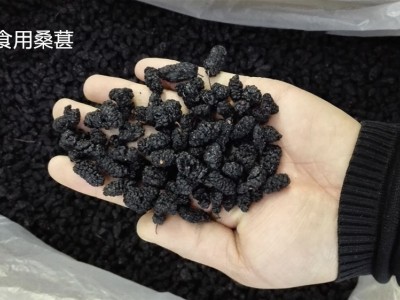 桑椹干桑葚干批发 一斤500g桑葚干特级新疆黑桑葚 15日无条件 退换图5