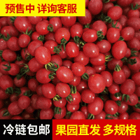 洽鲜园新鲜水果农家玉女圣女果预售现摘皮薄小番茄自然熟小西红柿