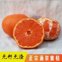 橘子新鲜正宗临海涌泉蜜桔 无核薄皮桔子5斤10斤当季水果砂糖橘
