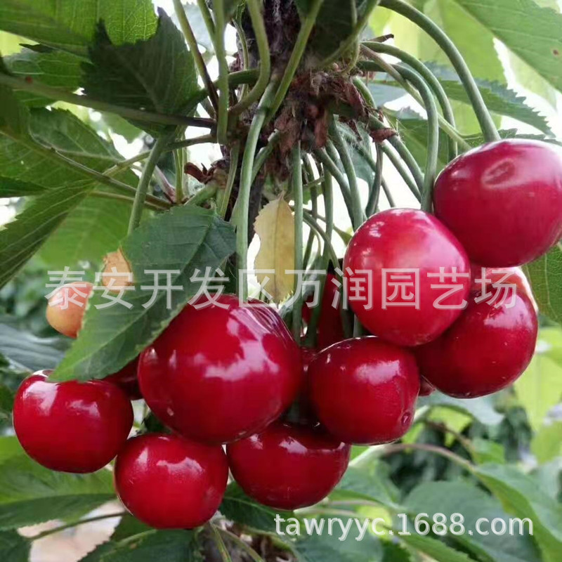 微信图片_2021030809375819_副本.jpg